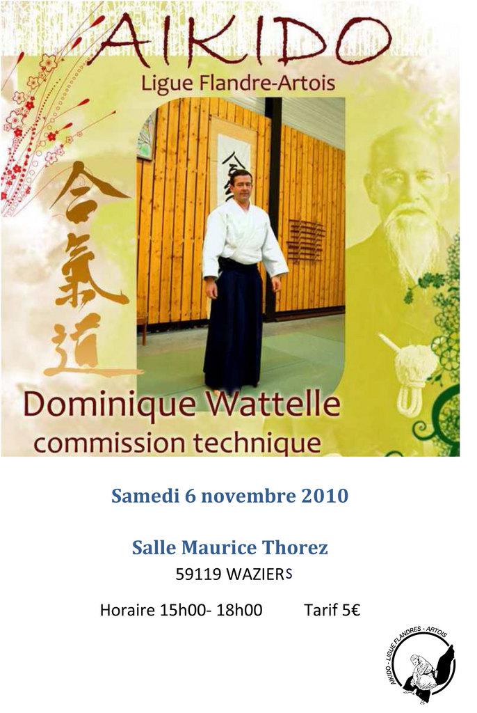 Stage d’aikido à Waziers avec Dominique Wattelle