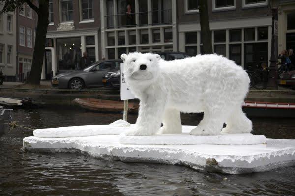 Un Ours perdu à Amsterdam