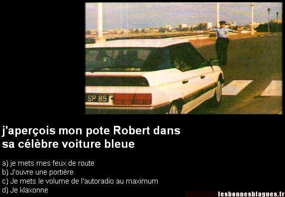 Image drôle - apprentissage du code de la route