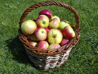 Pommes 2010