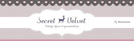secretvelvet /Day 7/ Les 2 ans – Secret Velvet