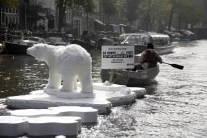 Lost Polar Bear in Amsterdam Canals1 300x200 Un ours perdu sur les canaux dAmsterdam
