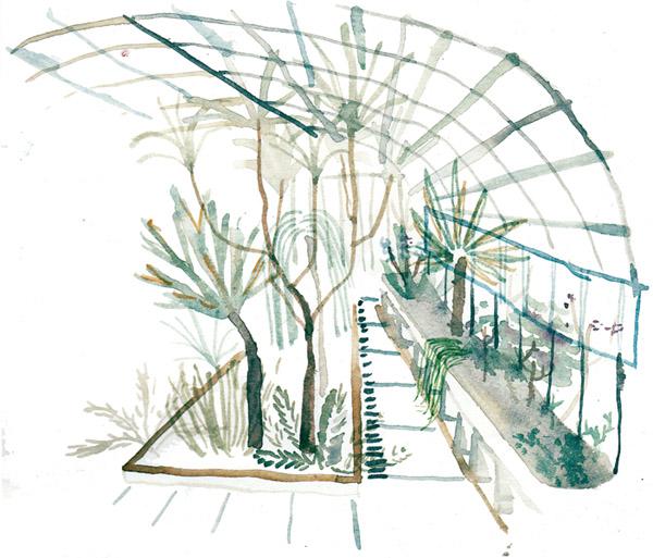 Aux serres d'Auteuil