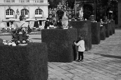 Jardins éphémères place Stan'