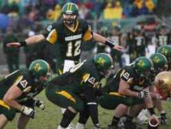 Grondements dans le terrier du renard