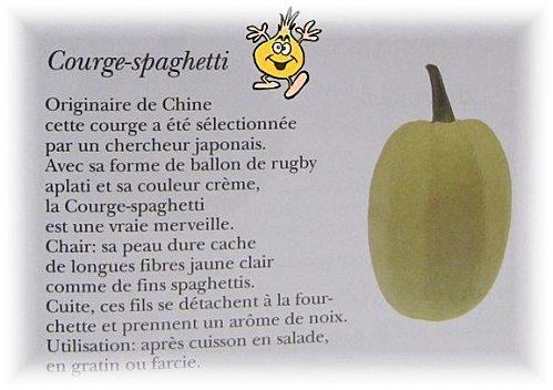 la-courge-spaghetti.jpg