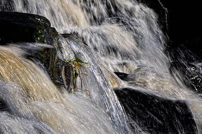 Trois photos du même sujet...