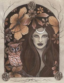 Nocturne (Eliane Biedermann)