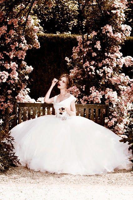 includes_img_collections_1285762870_14497328_01_8266_14v5