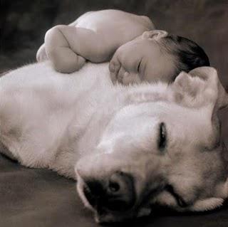 Fatiguée ....une tite pause !