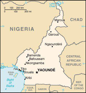 Cameroun : près de 94 000 entreprises recensées en 2009
