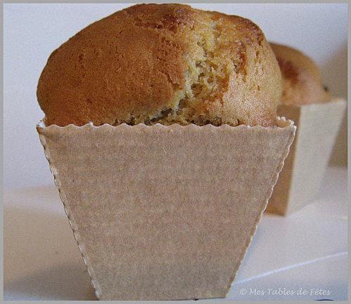 Muffins-noix-de-Pecan-chuncks-choco.jpg