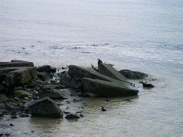 pendant que les enfants jouent