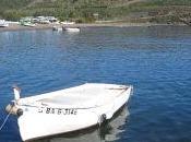 dico vendredi lettre