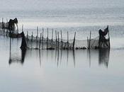 Episode dans lagune...