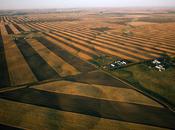 Fertilité Stérilité