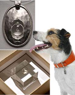 L’ADN-bijou de chien