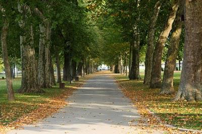 La Pép', couleur d'automne