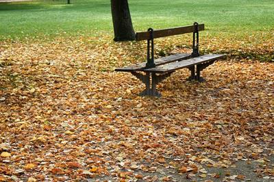 La Pép', couleur d'automne