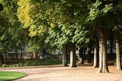 La Pép', couleur d'automne