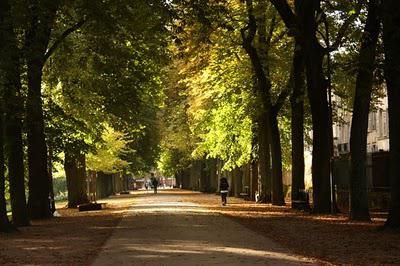 La Pép', couleur d'automne