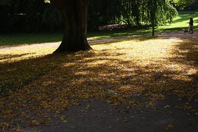 La Pép', couleur d'automne