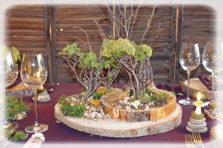 promenons_nous_043_modifi__1