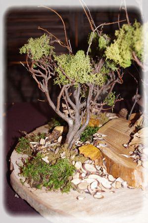 promenons_nous_048_modifi__1