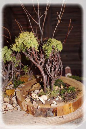 promenons_nous_049_modifi__1