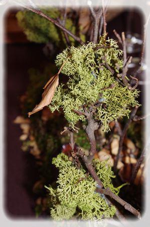 promenons_nous_060_modifi__1