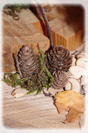 promenons_nous_078_modifi__1