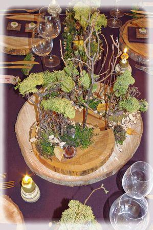 promenons_nous_041_modifi__1