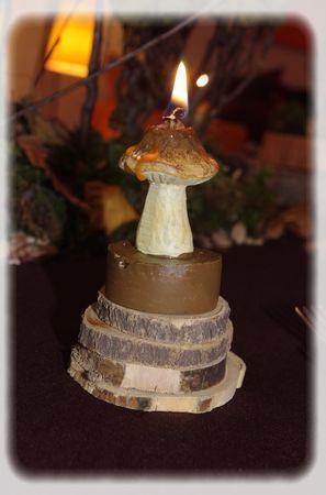 promenons_nous_037_modifi__1