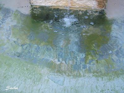 A la recherche des fontaines ..... ¨Pernes les Fontaines