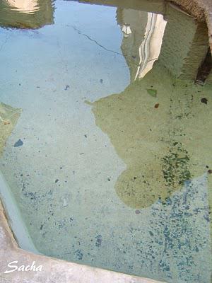 A la recherche des fontaines ..... ¨Pernes les Fontaines