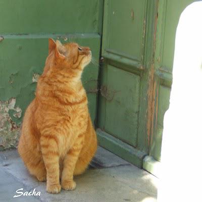 A la recherche des fontaines ..... ¨Pernes les Fontaines