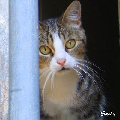 A la recherche des fontaines ..... ¨Pernes les Fontaines