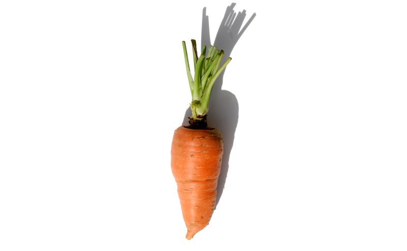 Carrot carotte
