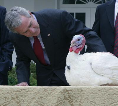George W Bush, Thanksgiving, dinde