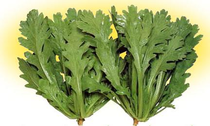 Le légume du jour: les feuilles de chrysanthème-Kikuna