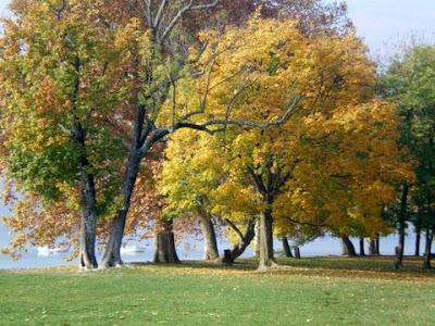 l'automne et ce poème