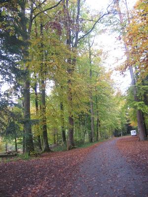 l'automne et ce poème