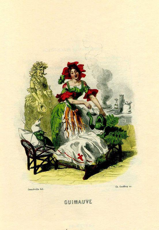 Guimauve (J.J. Grandville)