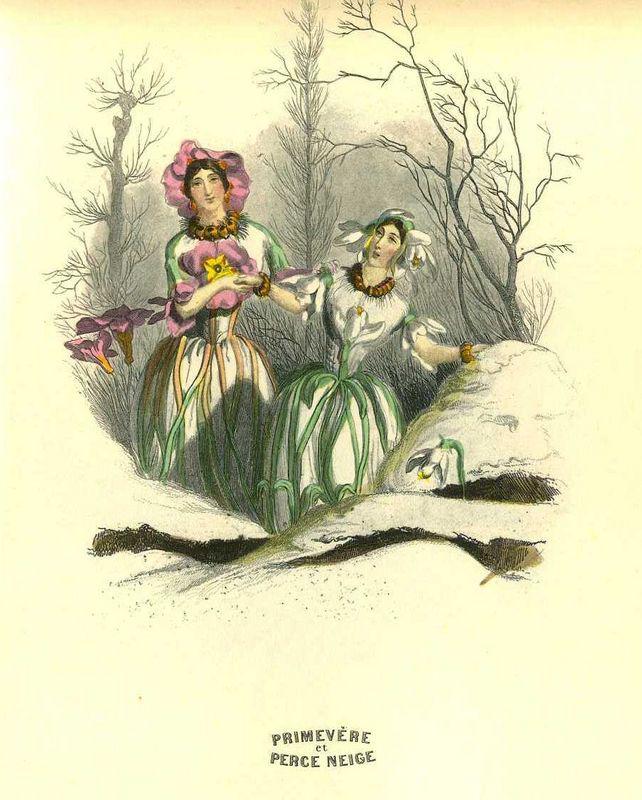 Primevère et Perce-neige (J.J. Grandville)
