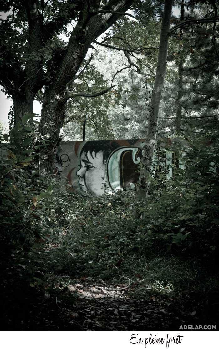 http://2.bp.blogspot.com/_txuBTB2__fE/TLrtxOH_fAI/AAAAAAAAOGk/N-XBLiAReHY/s1600/foret-adelap-3.jpg