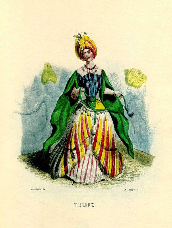 Sultane Tulipia (J.J. Grandville)