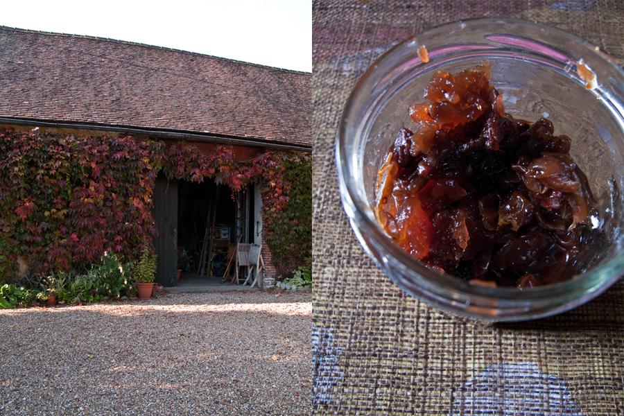 Chutney de raisin