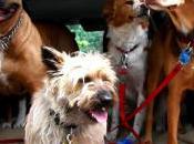 Banquet l’association libéraux.org