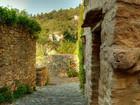 Minerve, Languedoc-Roussillon : Rencontre insolite dans les rues