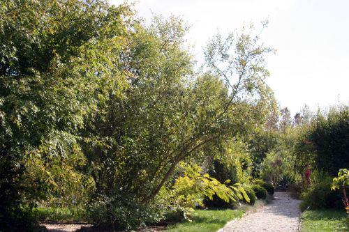 umbel entier marnay 18 sept 2010 047.jpg